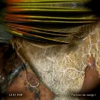 Pochette Transience Merger