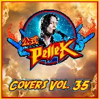 Pochette Covers, Vol. 35