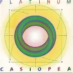 Pochette Platinum