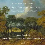 Pochette A Sentimental Journey