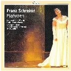 Pochette Flammen