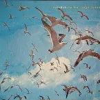 Pochette 風を継ぐ者