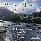 Pochette Welsh Music for Strings