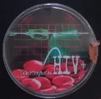 Pochette Interferencias