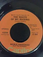 Pochette The Roots of My Raising