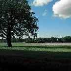 Pochette Du Finns