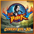 Pochette Covers, Vol. 30
