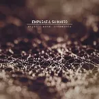 Pochette Organic.Aural.Ornaments