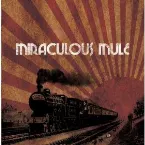 Pochette Miraculous Mule