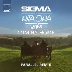 Pochette Coming Home (Parallel remix)