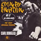 Pochette Kung Fu Fighting