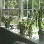 Pochette Parking Lot