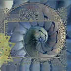 Pochette Imaginal Symmetry