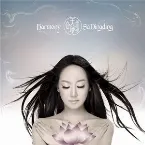 Pochette Harmony