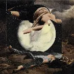 Pochette Everything Wounded Will Flow
