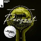 Pochette Perfect (Exceeder) (Oliver Heldens extended remix)