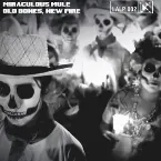 Pochette Old Bones, New Fire