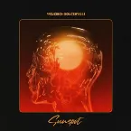 Pochette Sunspot
