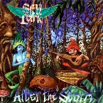 Pochette After the Storm