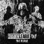 Pochette The Purge