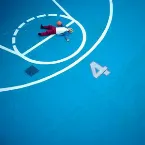 Pochette バードマン