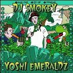 Pochette Yoshi Emeraldz