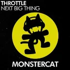 Pochette Next Big Thing