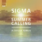Pochette Summer Calling (Tantrum Desire remix)