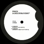 Pochette Punisher (Remixes)