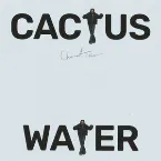 Pochette Cactus Water