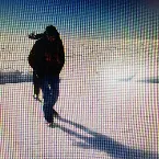 Pochette Scattered Seeds / Collected Dirt, Volume 2