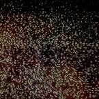 Pochette Another Time