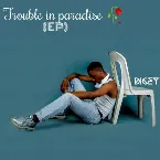Pochette Trouble in Paradise