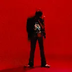 Pochette Ballroom Extravaganza