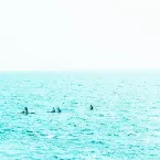 Pochette Coastal Railroads in Memories