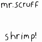 Pochette Shrimp!