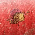 Pochette White Water