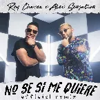 Pochette No sé si me quiere (remix)