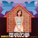 Pochette 悲哀的夢