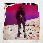 Pochette Dear Insanity…