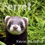 Pochette Ferret