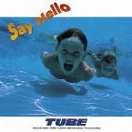 Pochette Say Hello