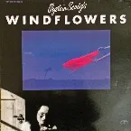 Pochette Windflowers