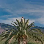 Pochette Love Hallucination