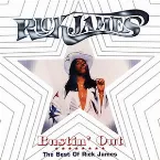 Pochette Bustin’ Out: The Best of Rick James