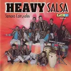 Pochette Heavy salsa