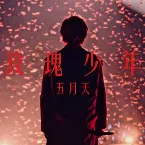 Pochette 玫瑰少年