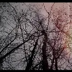 Pochette The Release