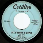 Pochette You Don't Miss Your Water / She's About a Mover