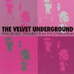 Pochette Psychedelic Sounds From the Gymnasium